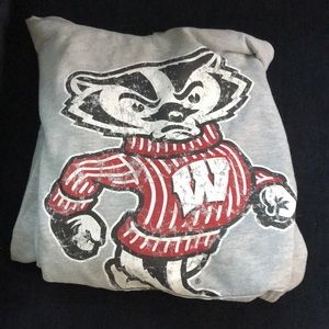 University of Wisconsin high quality hoodie